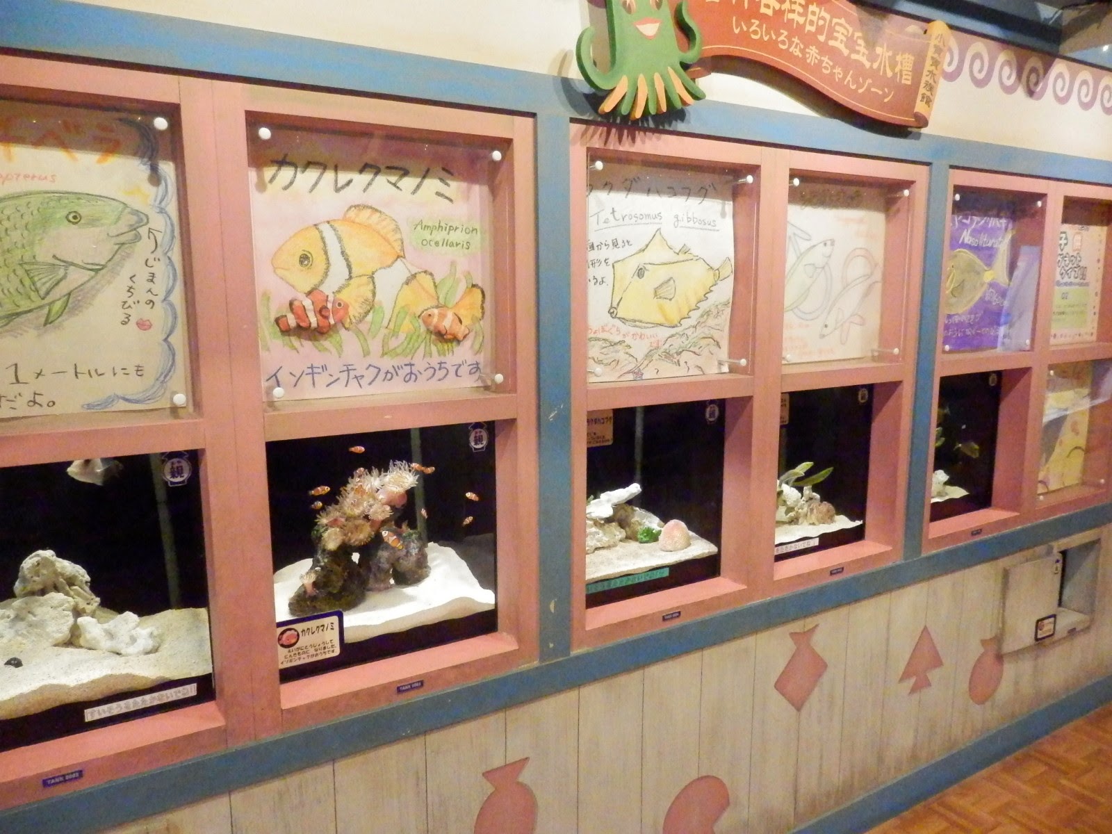 かめきちの水族館ブログ ヨコハマおもしろ水族館 あかちゃん水族館編 14 04 22