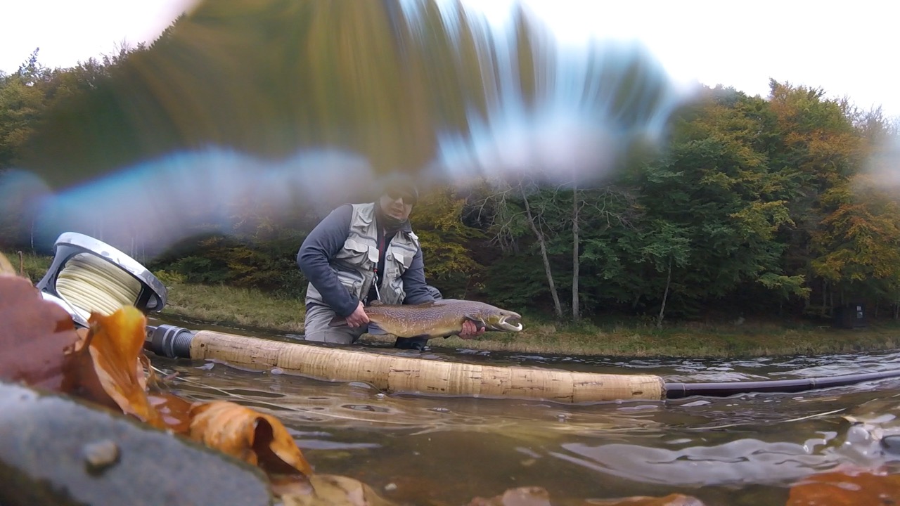 Dee & Don Salmon Fishing Manar River Don