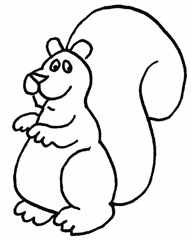 Recursos Y Actividades Para Educacion Infantil Dibujos Para Colorear De Ardillas