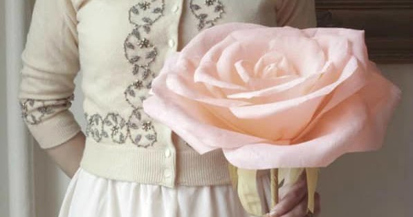 Rosa Sifu Si Pencinta Bunga Mawar Pruning 101 A Look At