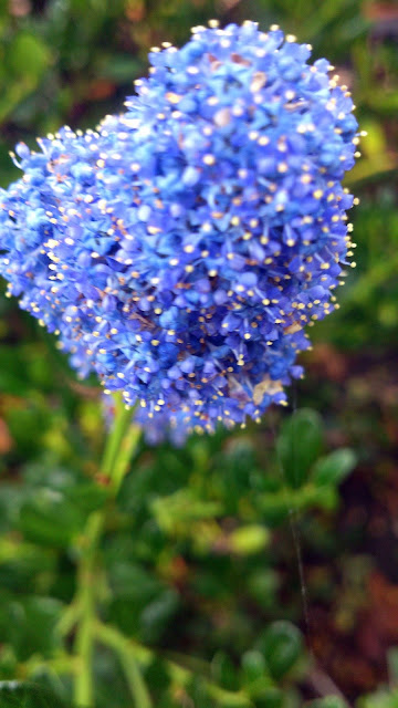 Ch Catalogus 2018 2019 Totaal