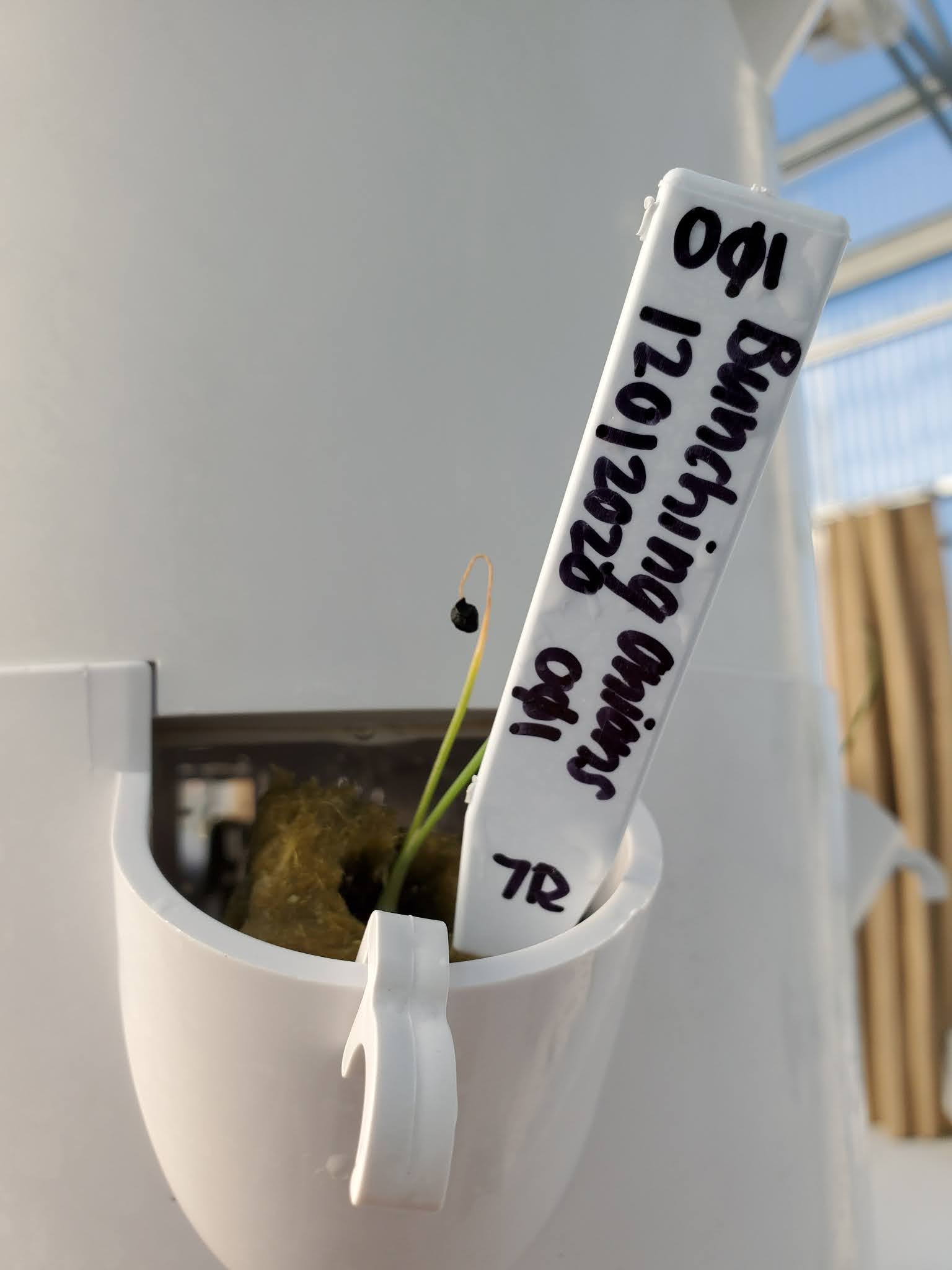 Imagine Our RV Dreams Volunteering at Sunshine Acres Children's Home