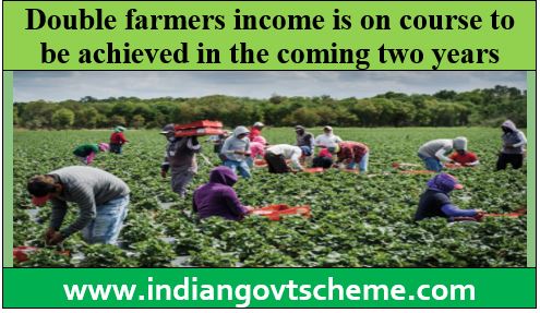 Double farmers income
