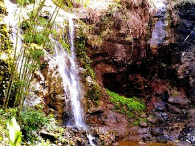 Wisata Curug Ngedok Donorejo