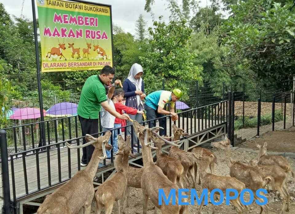 Liburan Ke Jember Jangan Lupa Mampir Ke Taman Botani Sukorambi Halaman All Kompas Com