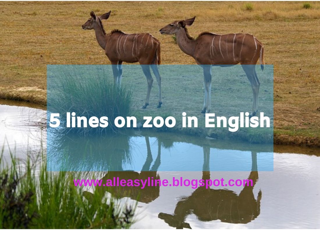 5 Lines On Zoo In English Few Sentences About Zoo 5-lines-on-zoo-in-english-few-sentences-about-zoo
