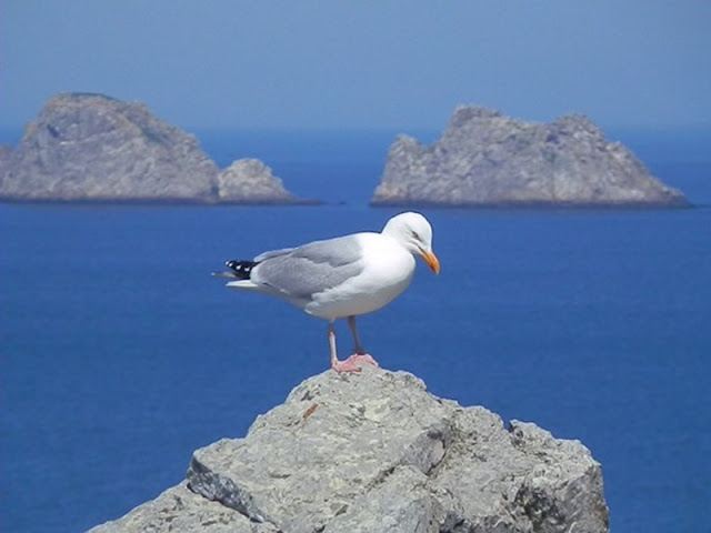 La Presqu'île de Crozon : la Pointe de Dinan