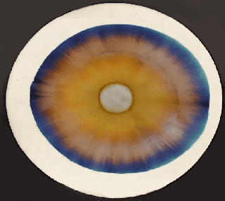 cromatografia papel radial circular