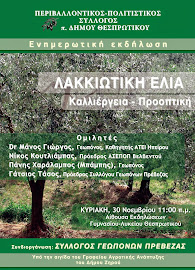 "ΛΑΚΚΙΩΤΙΚΗ ΕΛΙΑ Καλλιέργεια - Προοπτική"