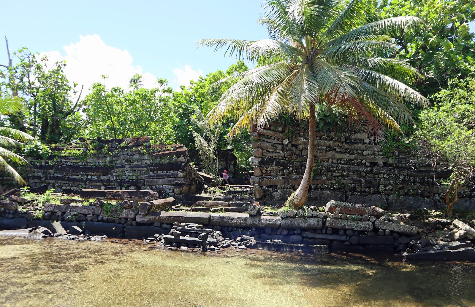 To Travel is to Live Pohnpei