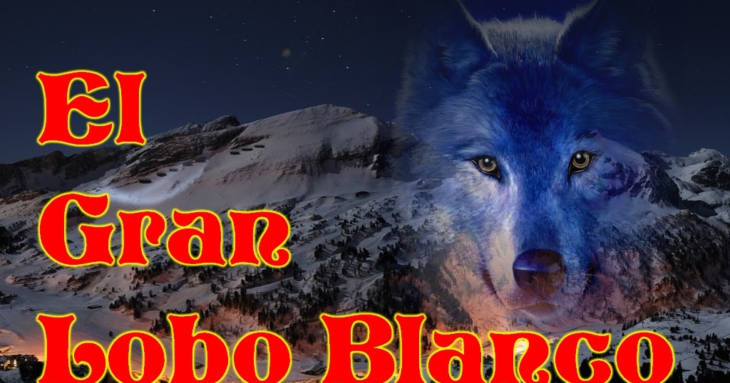 EL REINO SECRETO DEL LOBO EL GRAN LOBO BLANCO EL REINO SECRETO DEL LOBO EL GRAN LOBO BLANCO