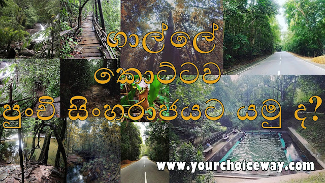 ගාල්ලේ - කොට්ටව පුංචි සිංහරාජයට යමු ද? 🍃🎍🌴 (Kottawa Forest)