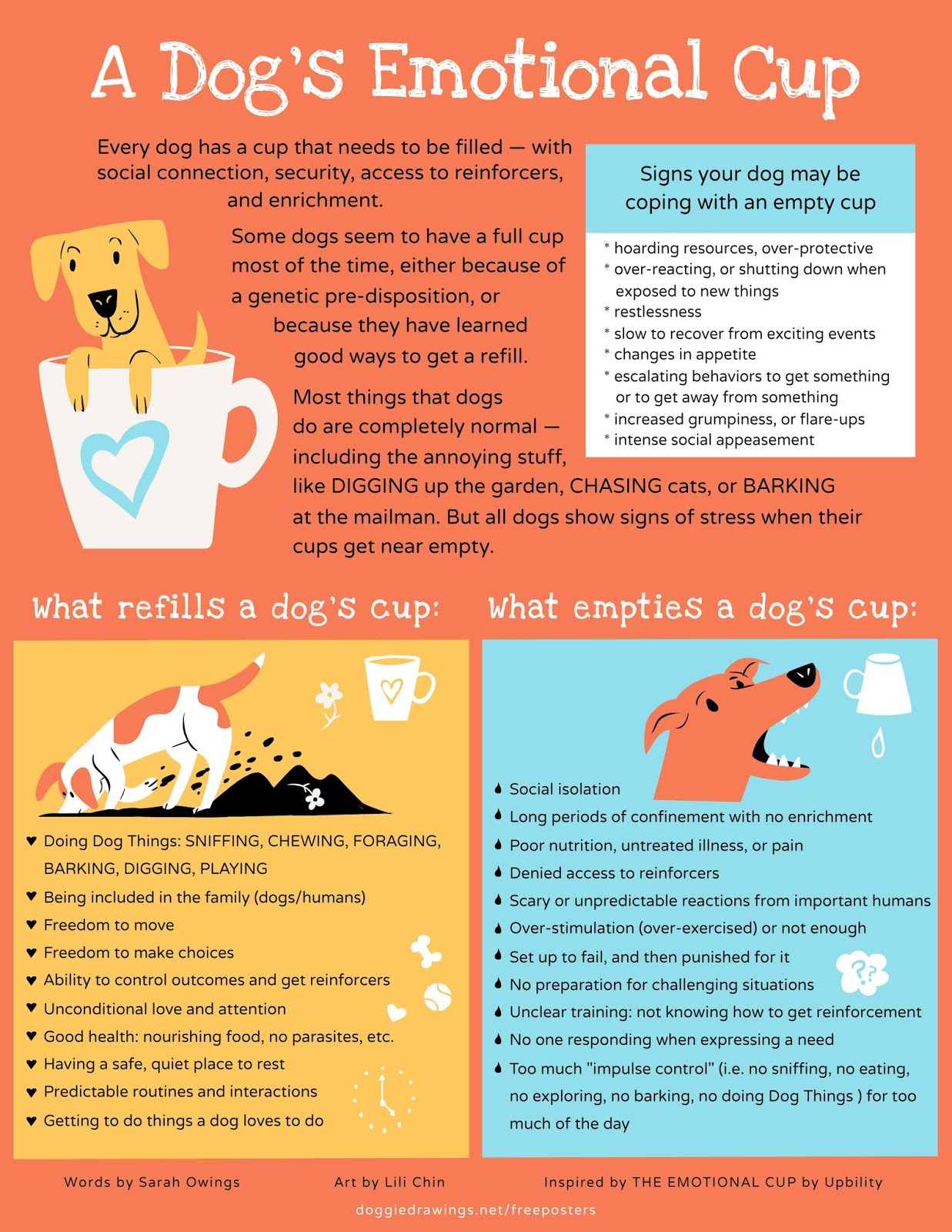 Build Trust and Confidence with Your Dog