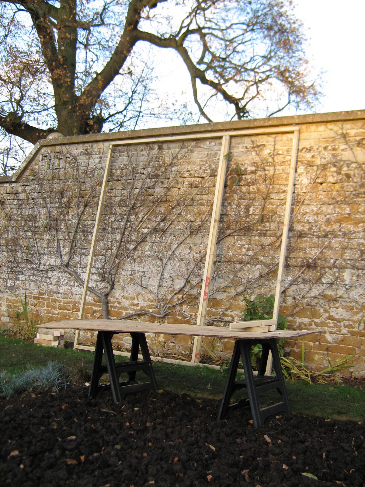 Chastleton Garden NT Peach Tree Cover