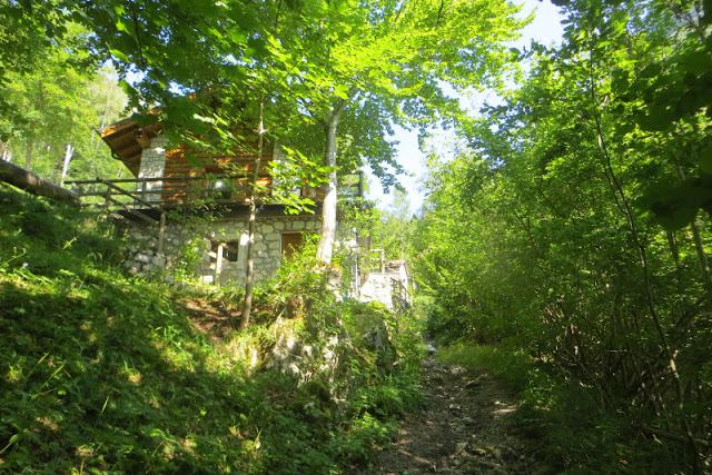 valle di san lucano escursione col di pra