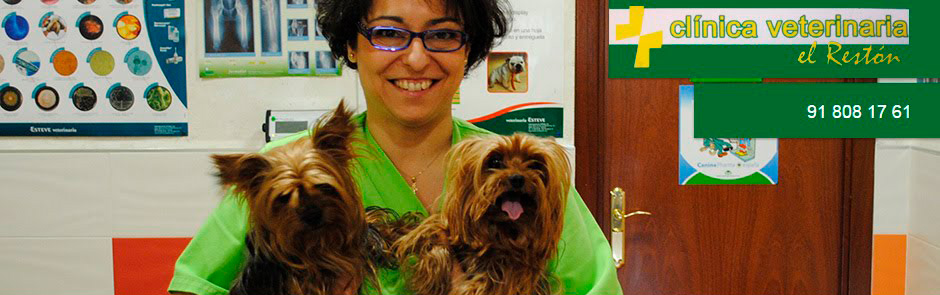 Clínica Veterinaria El Restón, Valdemoro, Madrid