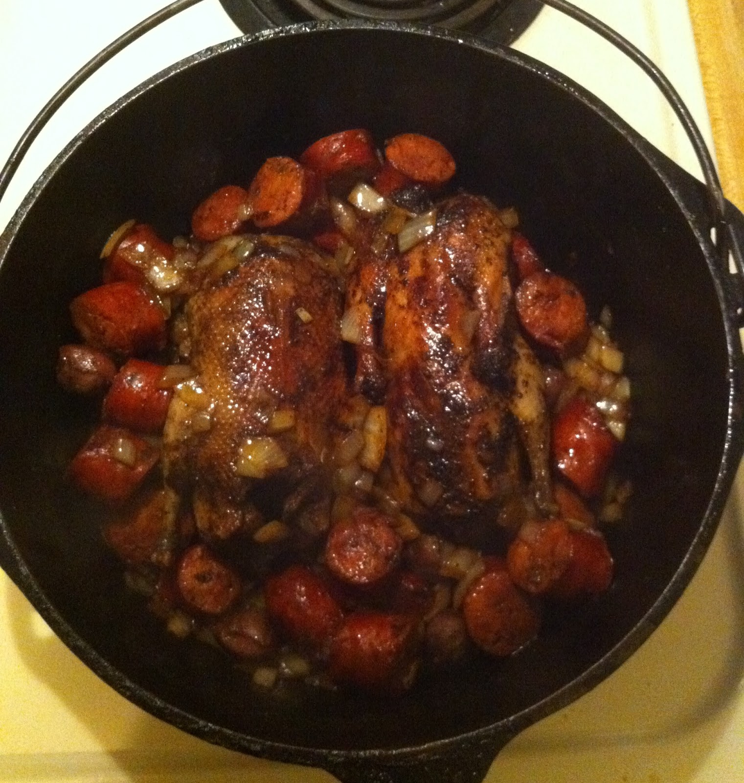 Camp Dog Pot Roasted Wood Ducks