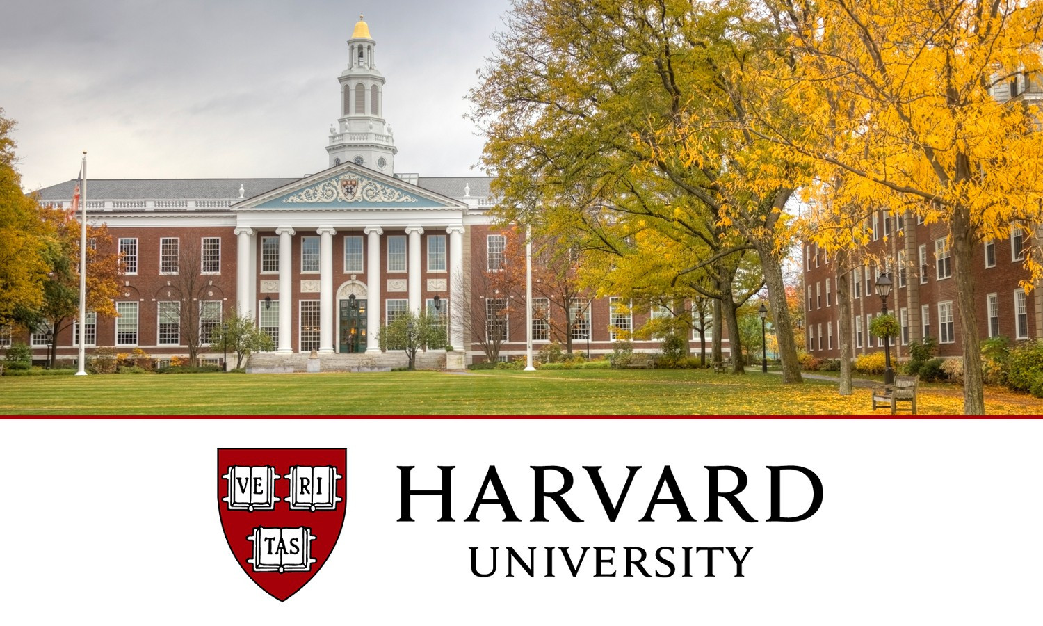 Curso de HARVARD Online com Certificado Grátis Paulo Júnior Dicas