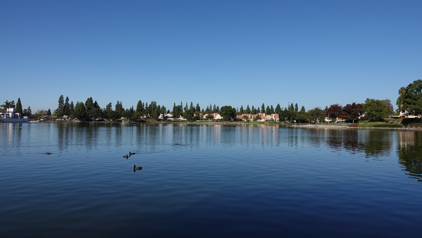 Looking for Lakes Eastlake