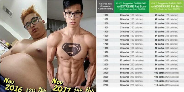 How Many Carbs You Should Eat Per Day To Lose Weight? - Bodydulding