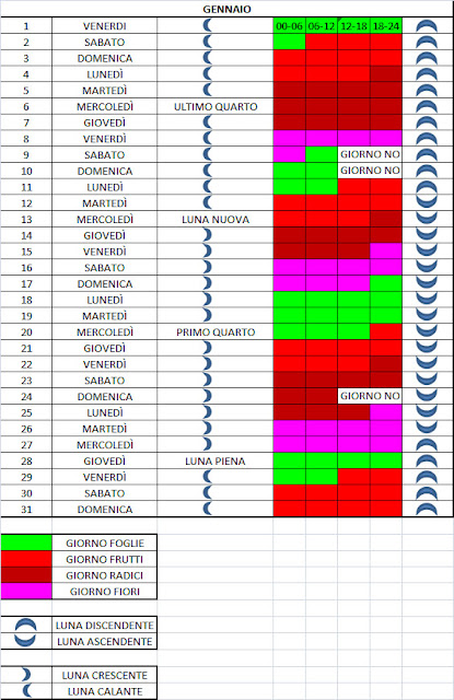 luna calante, crescente, luna ascendente, discendente, giorni fiore, foglia, frutto, radice , per una coltivazione naturale