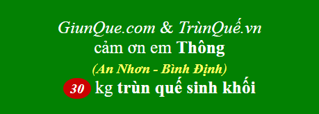 Trùn Quế Bình Định