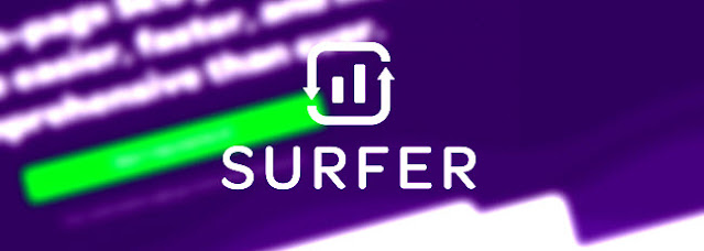 Surfer Surfer - marketingdaddies