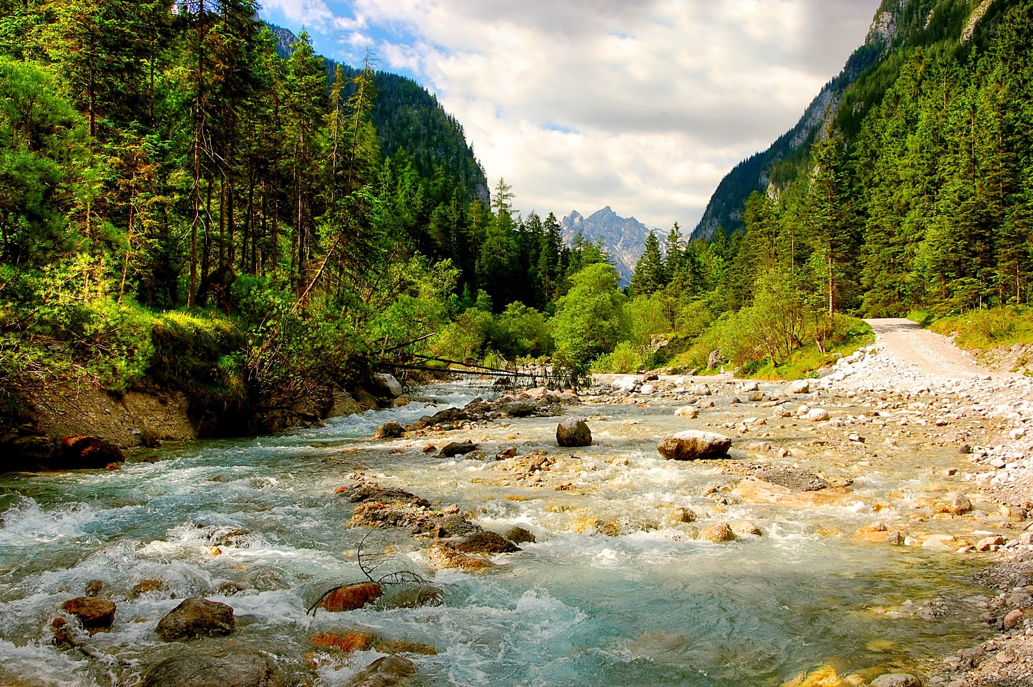 Какие есть горные реки. Горные реки Кавказа Риони. Горная река Архыз ущелье. Риони река в Кавказе. Река Риони Грузия.