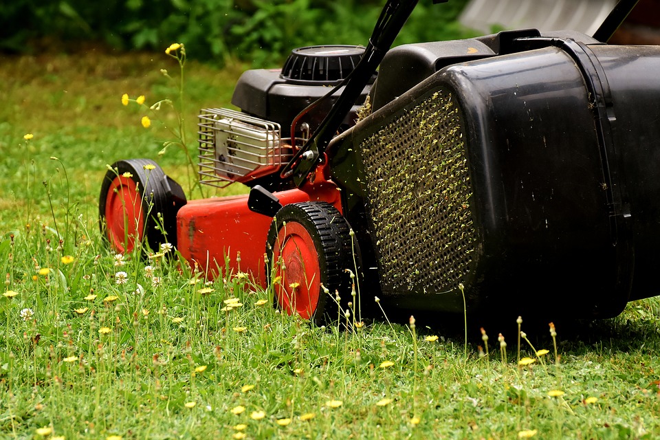 Lawn Maintenance 101: Everything You Need to Know