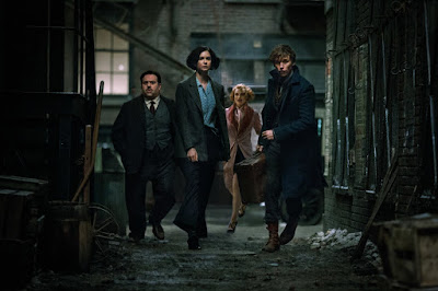 Dan Fogler, Alison Sudol, Katherine Waterston and Eddie Redmayne in Fantastic Beasts and Where to Find Them