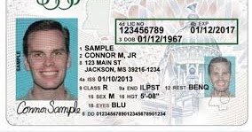how to make a fake drivers license south africa how to make a fake drivers license south africa