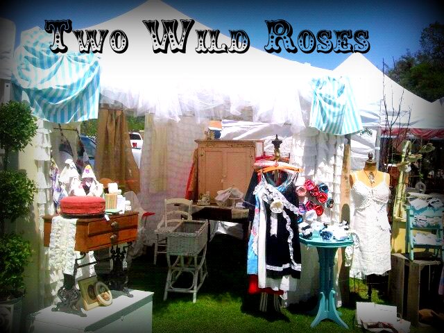 Two Wild Roses