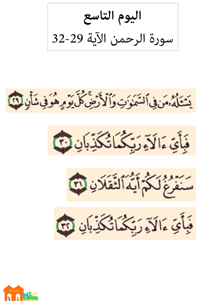 كل يوم هو في شأن Youtube