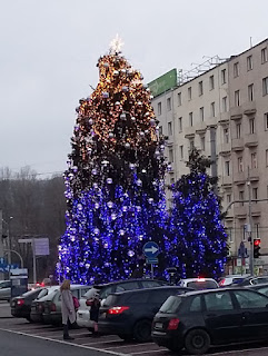 Gdynia, choinka, 