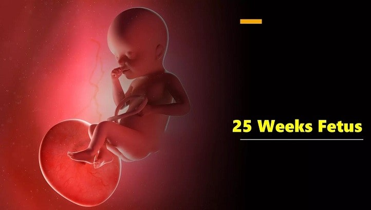 25 week pregnancy in Hindi