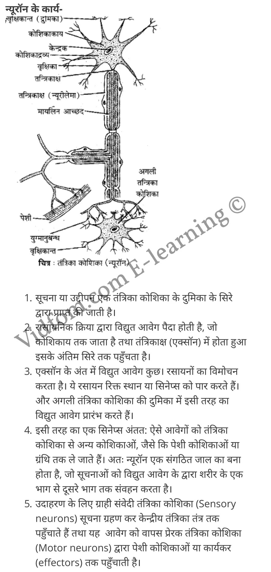 कक्षा 10 विज्ञान के नोट्स हिंदी में एनसीईआरटी समाधान, class 10 Science chapter 7, class 10 Science chapter 7 ncert solutions in Science, class 10 Science chapter 7 notes in hindi, class 10 Science chapter 7 question answer, class 10 Science chapter 7 notes, class 10 Science chapter 7 class 10 Science chapter 7 in hindi, class 10 Science chapter 7 important questions in hindi, class 10 Science hindi chapter 7 notes in hindi, class 10 Science chapter 7 test, class 10 Science chapter 7 class 10 Science chapter 7 pdf, class 10 Science chapter 7 notes pdf, class 10 Science chapter 7 exercise solutions, class 10 Science chapter 7, class 10 Science chapter 7 notes study rankers, class 10 Science chapter 7 notes, class 10 Science hindi chapter 7 notes, class 10 Science chapter 7 class 10 notes pdf, class 10 Science chapter 7 class 10 notes ncert, class 10 Science chapter 7 class 10 pdf, class 10 Science chapter 7 book, class 10 Science chapter 7 quiz class 10 , 10 th class 10 Science chapter 7 book up board, up board 10 th class 10 Science chapter 7 notes, class 10 Science, class 10 Science ncert solutions in Science, class 10 Science notes in hindi, class 10 Science question answer, class 10 Science notes, class 10 Science class 10 Science chapter 7 in hindi, class 10 Science important questions in hindi, class 10 Science notes in hindi, class 10 Science test, class 10 Science class 10 Science chapter 7 pdf, class 10 Science notes pdf, class 10 Science exercise solutions, class 10 Science, class 10 Science notes study rankers, class 10 Science notes, class 10 Science notes, class 10 Science class 10 notes pdf, class 10 Science class 10 notes ncert, class 10 Science class 10 pdf, class 10 Science book, class 10 Science quiz class 10 , 10 th class 10 Science book up board, up board 10 th class 10 Science notes, कक्षा 10 विज्ञान अध्याय 7 , कक्षा 10 विज्ञान, कक्षा 10 विज्ञान अध्याय 7 के नोट्स हिंदी में, कक्षा 10 का विज्ञान अध्याय 7 का प्रश्न उत्तर, कक्षा 10 विज्ञान अध्याय 7 के नोट्स, 10 कक्षा विज्ञान हिंदी में, कक्षा 10 विज्ञान अध्याय 7 हिंदी में, कक्षा 10 विज्ञान अध्याय 7 महत्वपूर्ण प्रश्न हिंदी में, कक्षा 10 हिंदी के नोट्स हिंदी में, विज्ञान हिंदी में कक्षा 10 नोट्स pdf, विज्ञान हिंदी में कक्षा 10 नोट्स 2021 ncert, विज्ञान हिंदी कक्षा 10 pdf, विज्ञान हिंदी में पुस्तक, विज्ञान हिंदी में की बुक, विज्ञान हिंदी में प्रश्नोत्तरी class 10 , 10 वीं विज्ञान पुस्तक up board, बिहार बोर्ड 10 पुस्तक वीं विज्ञान नोट्स, विज्ञान कक्षा 10 नोट्स 2021 ncert, विज्ञान कक्षा 10 pdf, विज्ञान पुस्तक, विज्ञान की बुक, विज्ञान प्रश्नोत्तरी class 10, कक्षा 10 विज्ञान, कक्षा 10 विज्ञान के नोट्स हिंदी में, कक्षा 10 का विज्ञान का प्रश्न उत्तर, कक्षा 10 विज्ञान के नोट्स, 10 कक्षा विज्ञान 2021 हिंदी में, कक्षा 10 विज्ञान हिंदी में, कक्षा 10 विज्ञान महत्वपूर्ण प्रश्न हिंदी में, कक्षा 10 विज्ञान हिंदी के नोट्स हिंदी में, विज्ञान हिंदी कक्षा 10 नोट्स pdf, विज्ञान हिंदी कक्षा 10 नोट्स 2021 ncert, विज्ञान हिंदी कक्षा 10 pdf, विज्ञान हिंदी पुस्तक, विज्ञान हिंदी की बुक, विज्ञान हिंदी प्रश्नोत्तरी class 10 , 10 वीं विज्ञान पुस्तक up board, बिहार बोर्ड 10 पुस्तक वीं विज्ञान नोट्स, विज्ञान कक्षा 10 नोट्स 2021 ncert, विज्ञान कक्षा 10 pdf, विज्ञान पुस्तक, विज्ञान की बुक, विज्ञान प्रश्नोत्तरी class 10, 10th Science book in hindi, 10th Science notes in hindi, cbse books for class 10 , cbse books in hindi, cbse ncert books, class 10 Science notes in hindi, class 10 Science hindi ncert solutions, Science 2020, Science 2021,