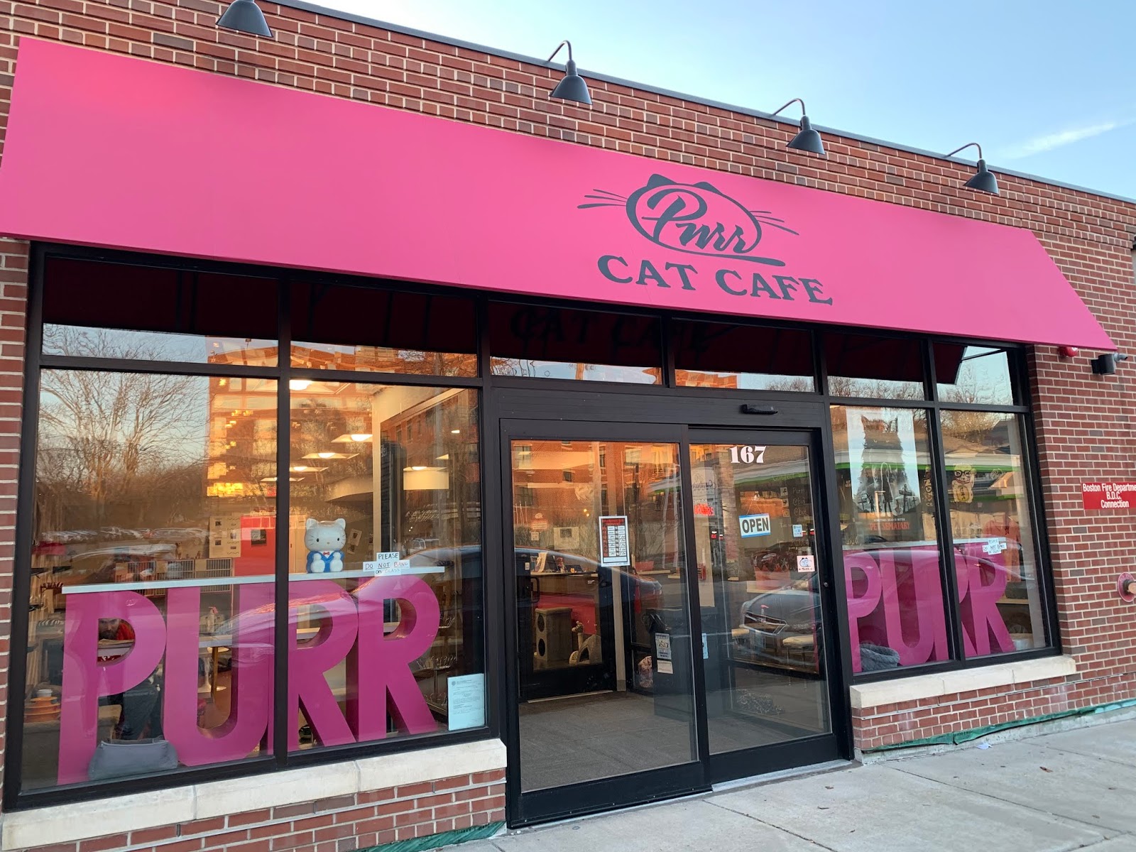 PURR Cat Cafe Boston, Massachusetts