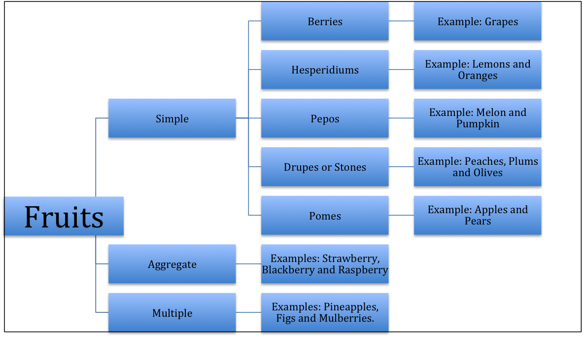 Discourse Approach In Reading discourse-approach-in-reading