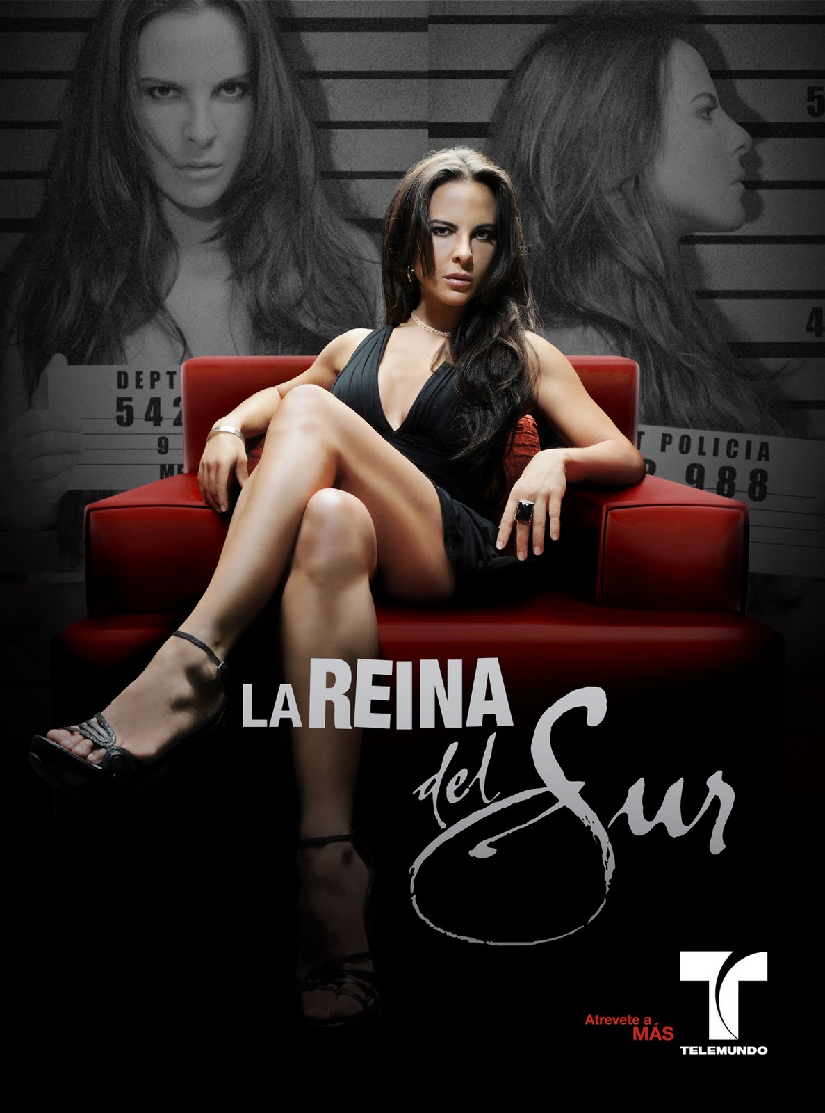 Serie Tv La Reina del Sur ( 11 DVD ) Bsf 220