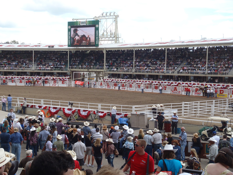 Adventures of a Saskatchewan Girl: Calgary Stampede turns 100!