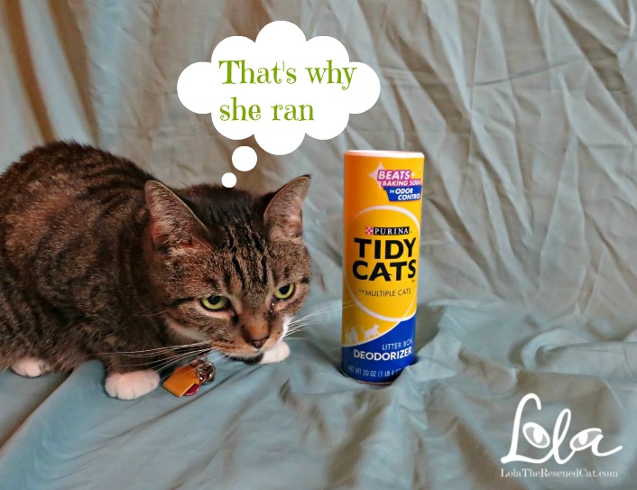 Chewy.com|Purina|Tidy Cats
