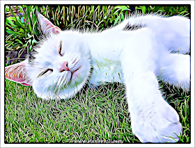 Smooch's Supurr Chill Garden Selfie ©BionicBasil® Caturday Art