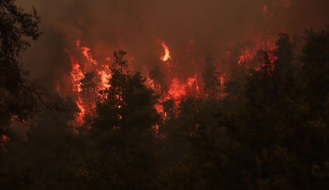  Ασταμάτητη λάβα η φωτιά στην Εύβοια με κατεύθυνση το Πευκί -Δραματικές εκκλήσεις των κατοίκων για βοήθεια