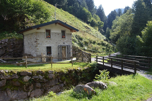 dormire in uno chalet nel bosco 