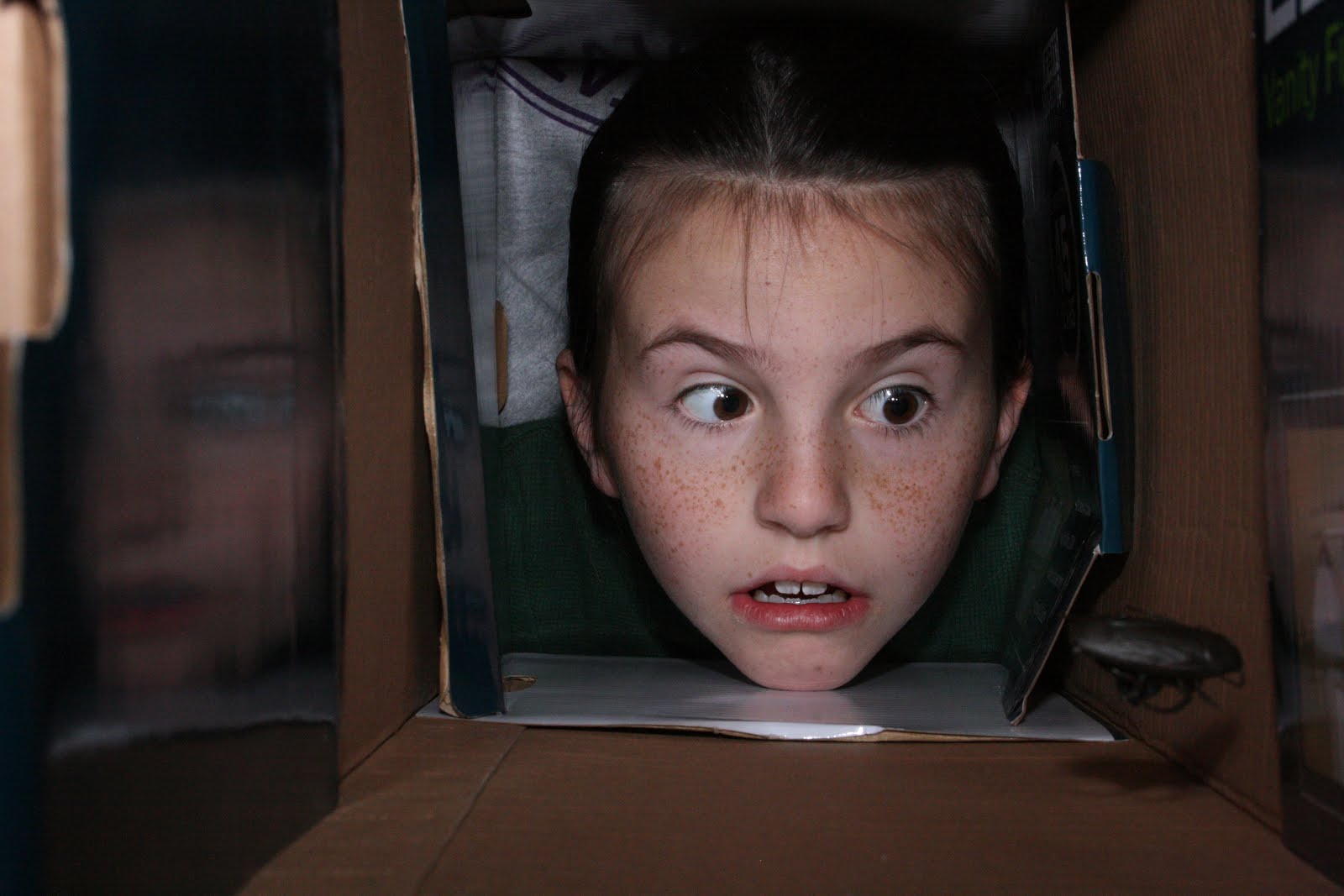 Taylor's Commercial Photography Blog: PHOBIAS