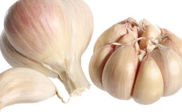 فوائد الثوم على الريق يوميًا فوائد الثوم على الريق يوميًا