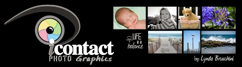 Icontact photo graphics by Lynda Bruschini