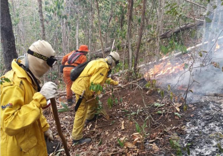 Incêndio florestal é controlado em Utinga; 42 pessoas atuaram no combate