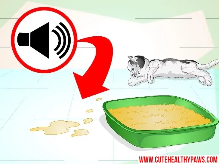 how do i stop my cat from peeing everywhere Cute Healthy Paws