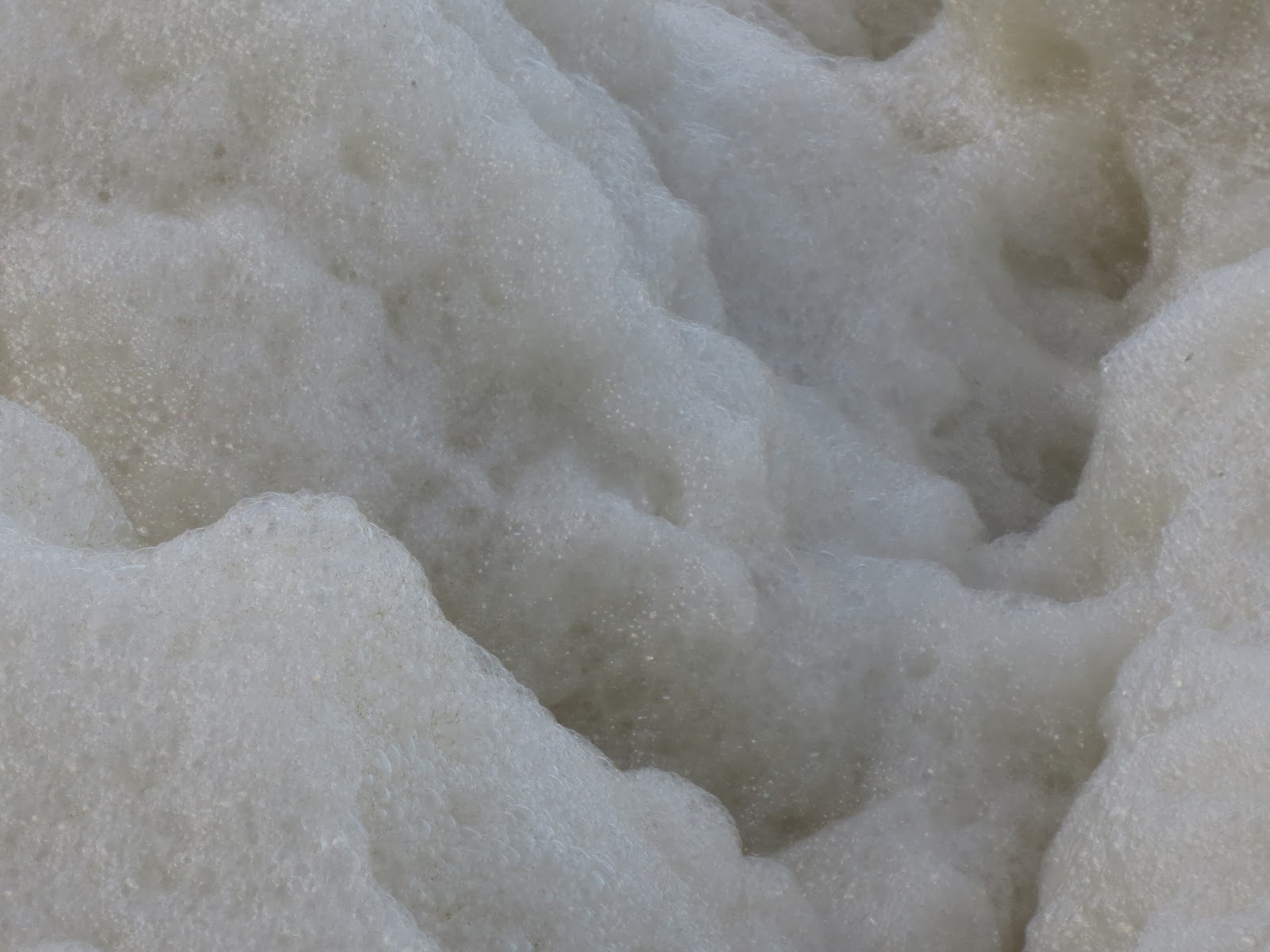 CollageMama's Hearty Breakfast Blog Sea foam and fish cakes